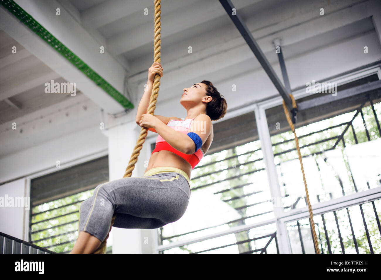 Young People Climbing Ropes In The Gym Stock Photo - Download Image Now -  Hanging, 25-29 Years, 30-39 Years - iStock
