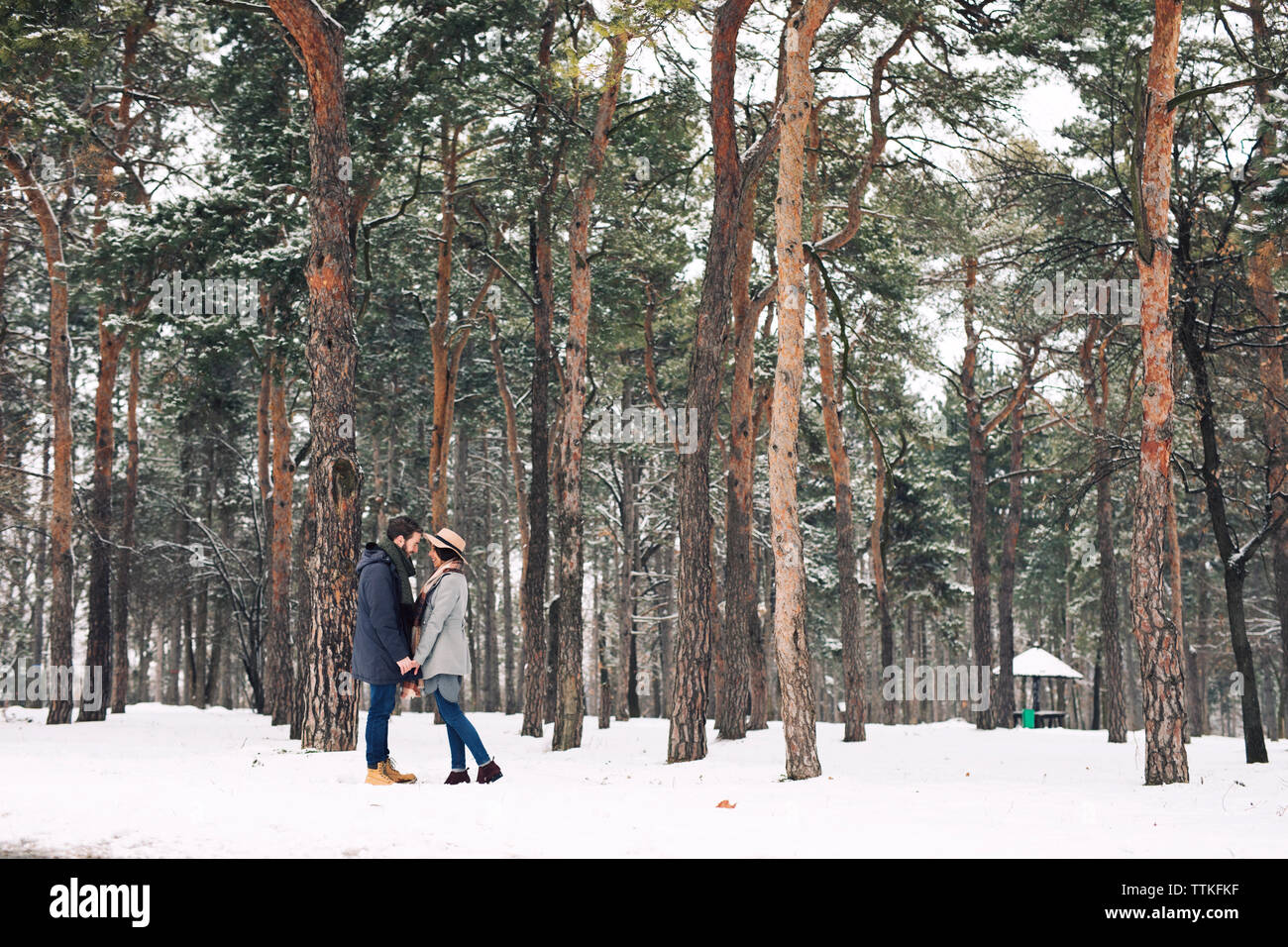 Happy couple looking at each other while standing on snowy field in forest Stock Photo