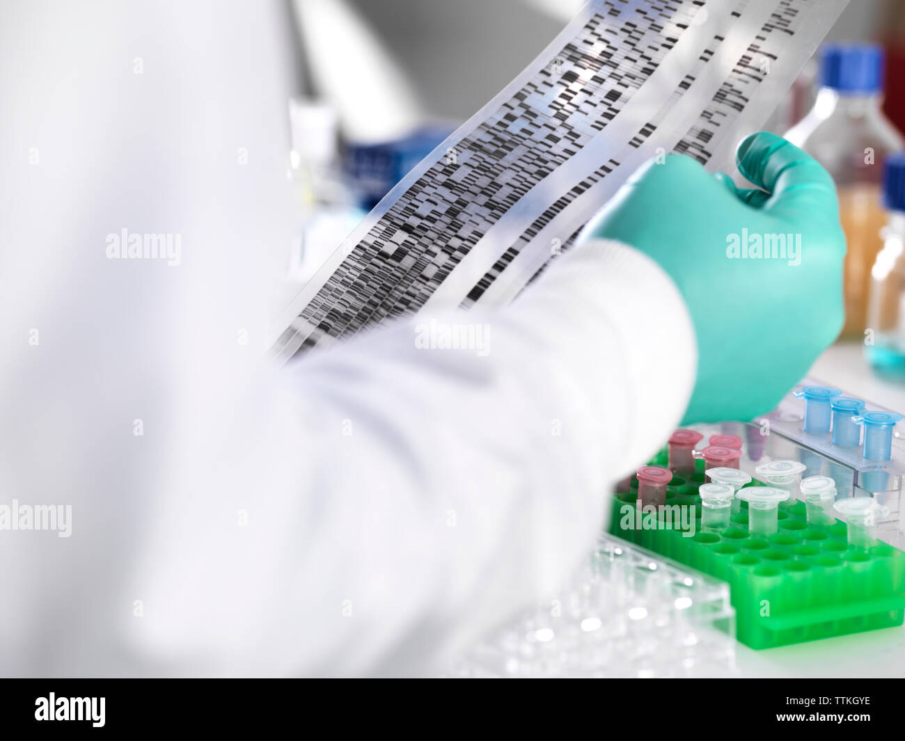 Close-up of scientist holding DNA gel by samples for testing in laboratory Stock Photo