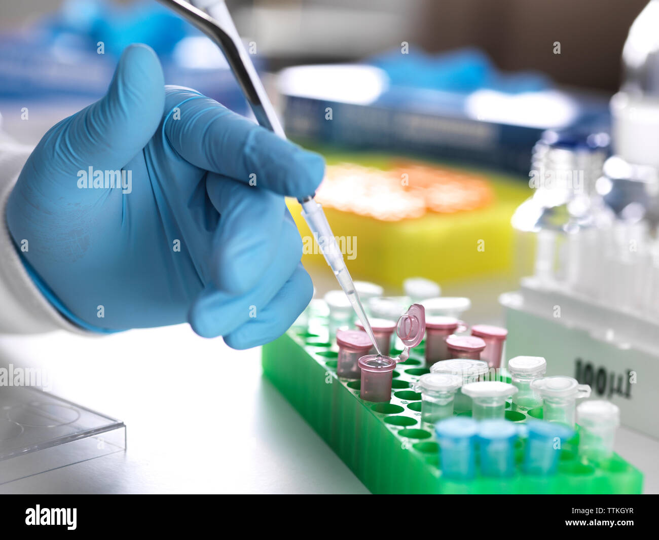 Scientist pipetting sample into vials hi-res stock photography and ...