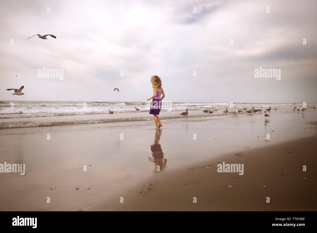 Rear view of girl enjoying with birds on beach against cloudy sky Stock Photo
