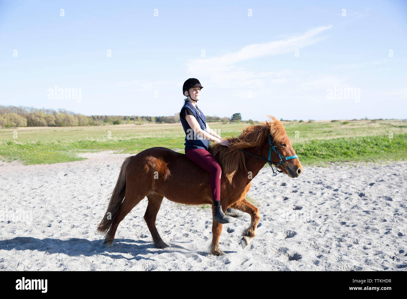 Woman horseback riding on sand at beach during sunny day Stock Photo