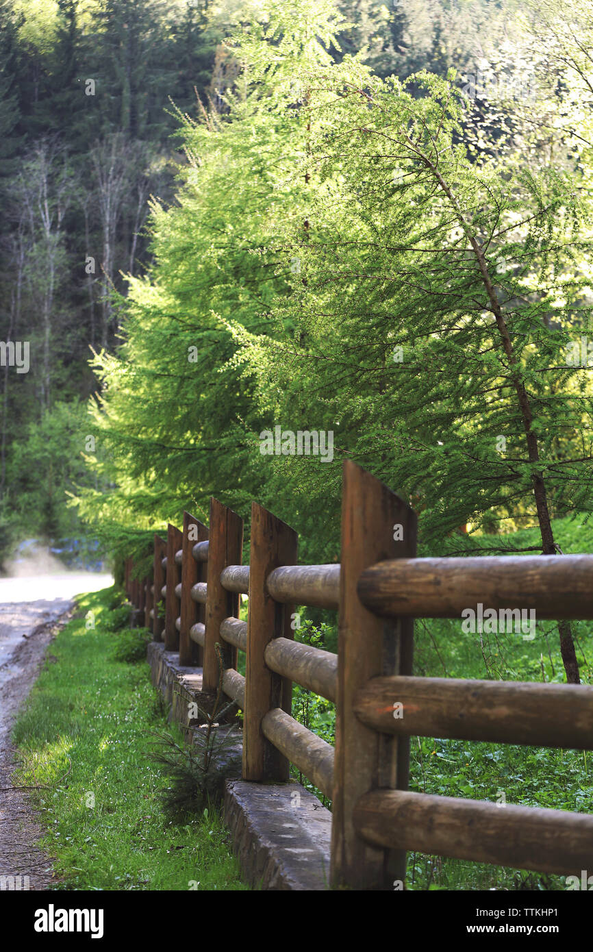 Old wooden fence beside the road Stock Photo - Alamy