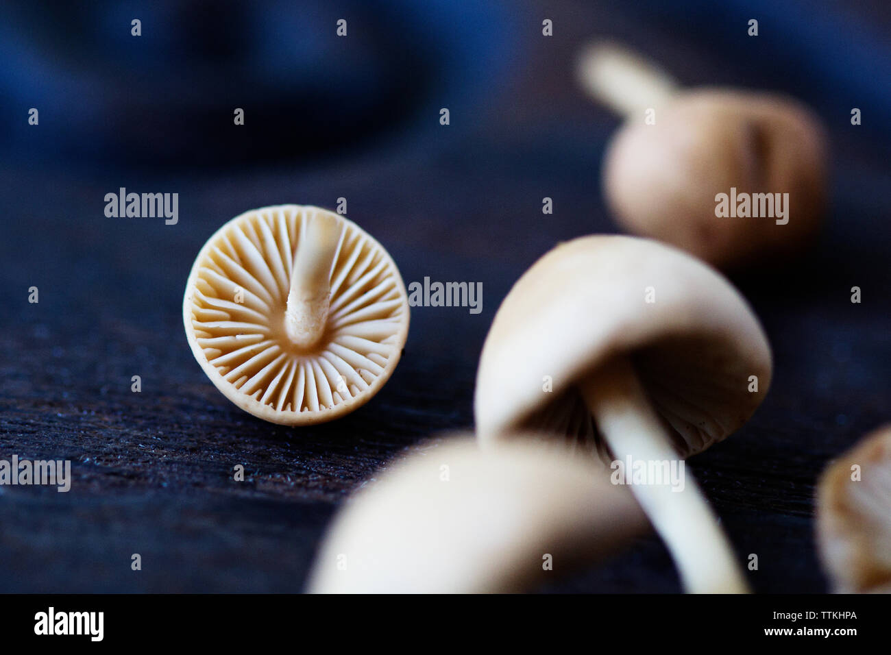 Close-up of edible mushrooms on wooden table Stock Photo