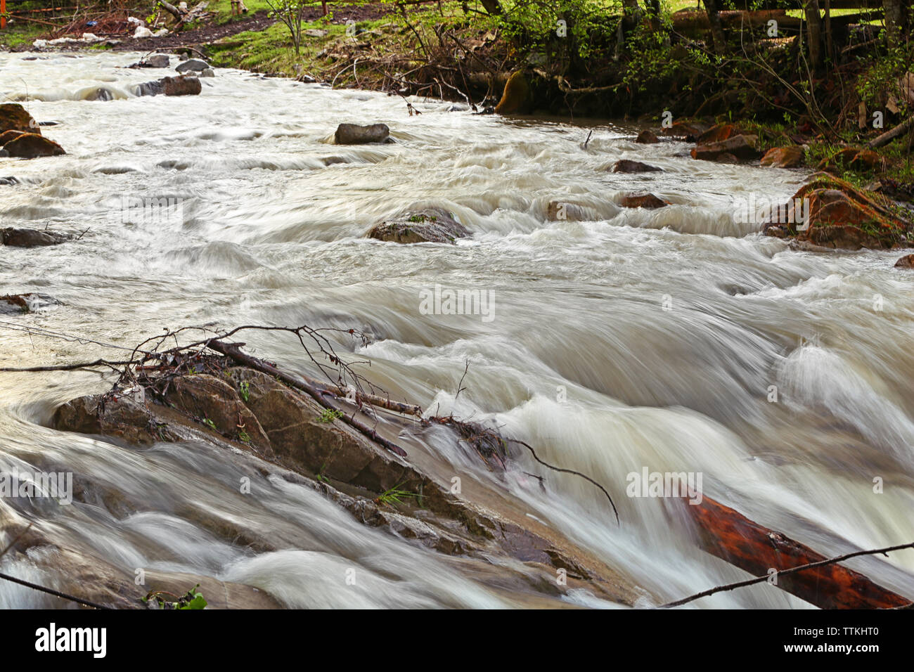 Wide stream in mountain forest Stock Photo - Alamy