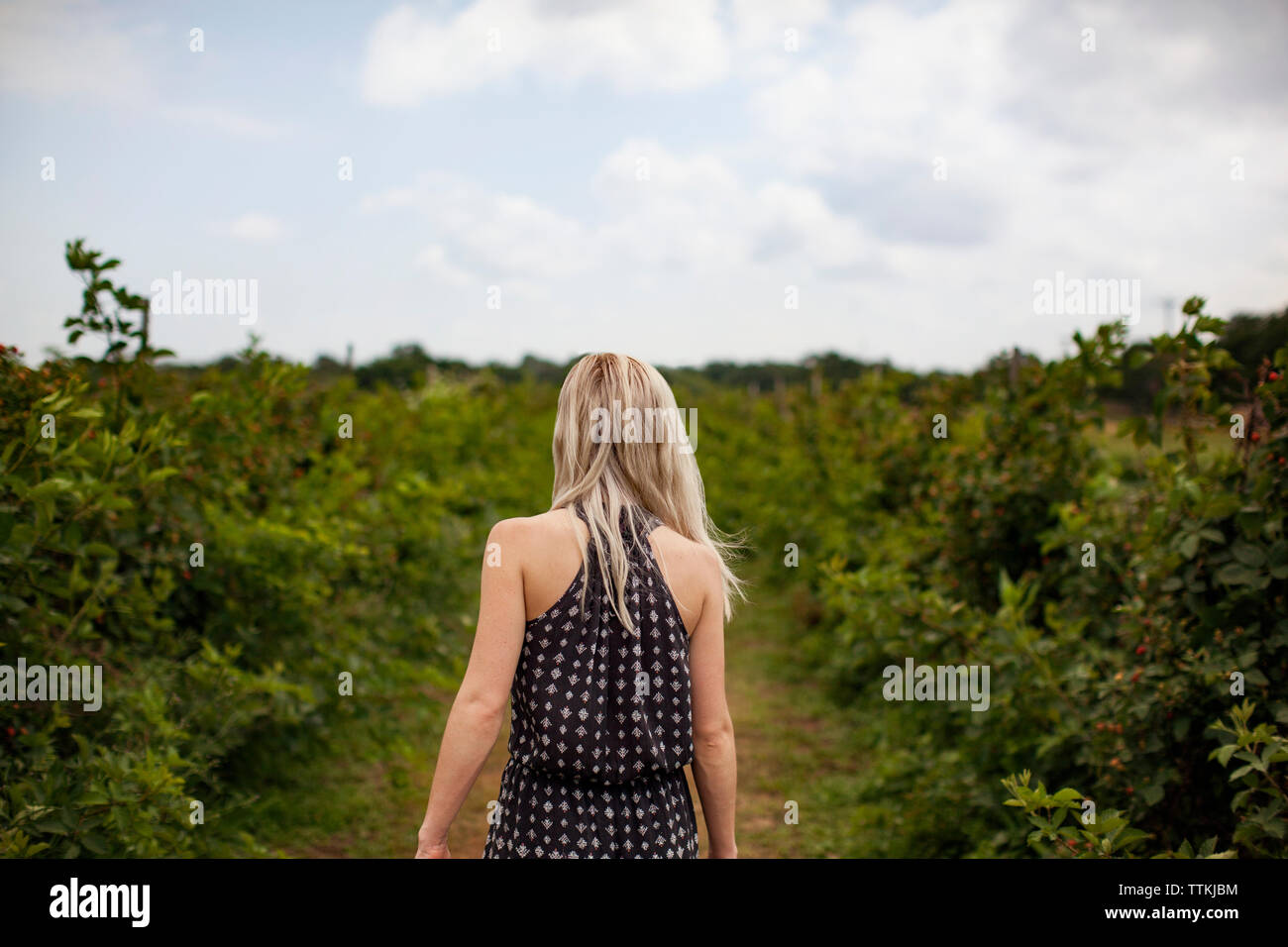 Female rear view walking hi-res stock photography and images - Alamy