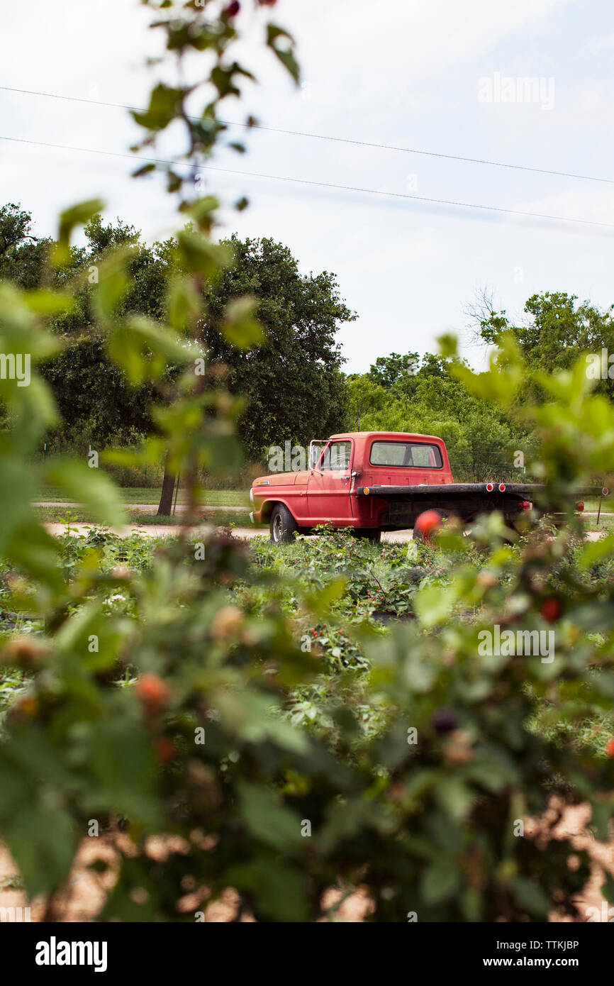 Green pick up truck hi-res stock photography and images - Alamy