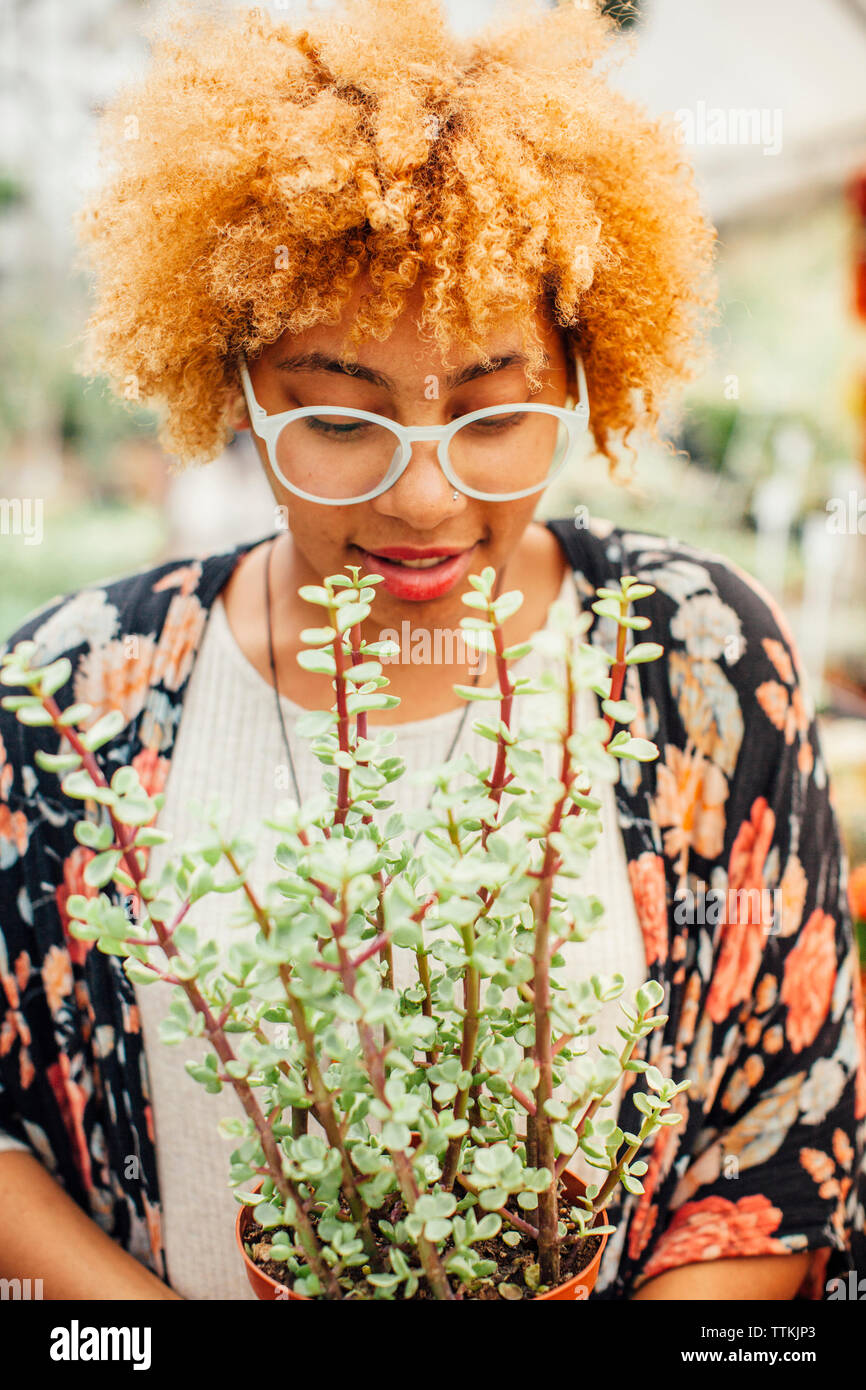 Woman holding potted plant while standing in nursery Stock Photo - Alamy
