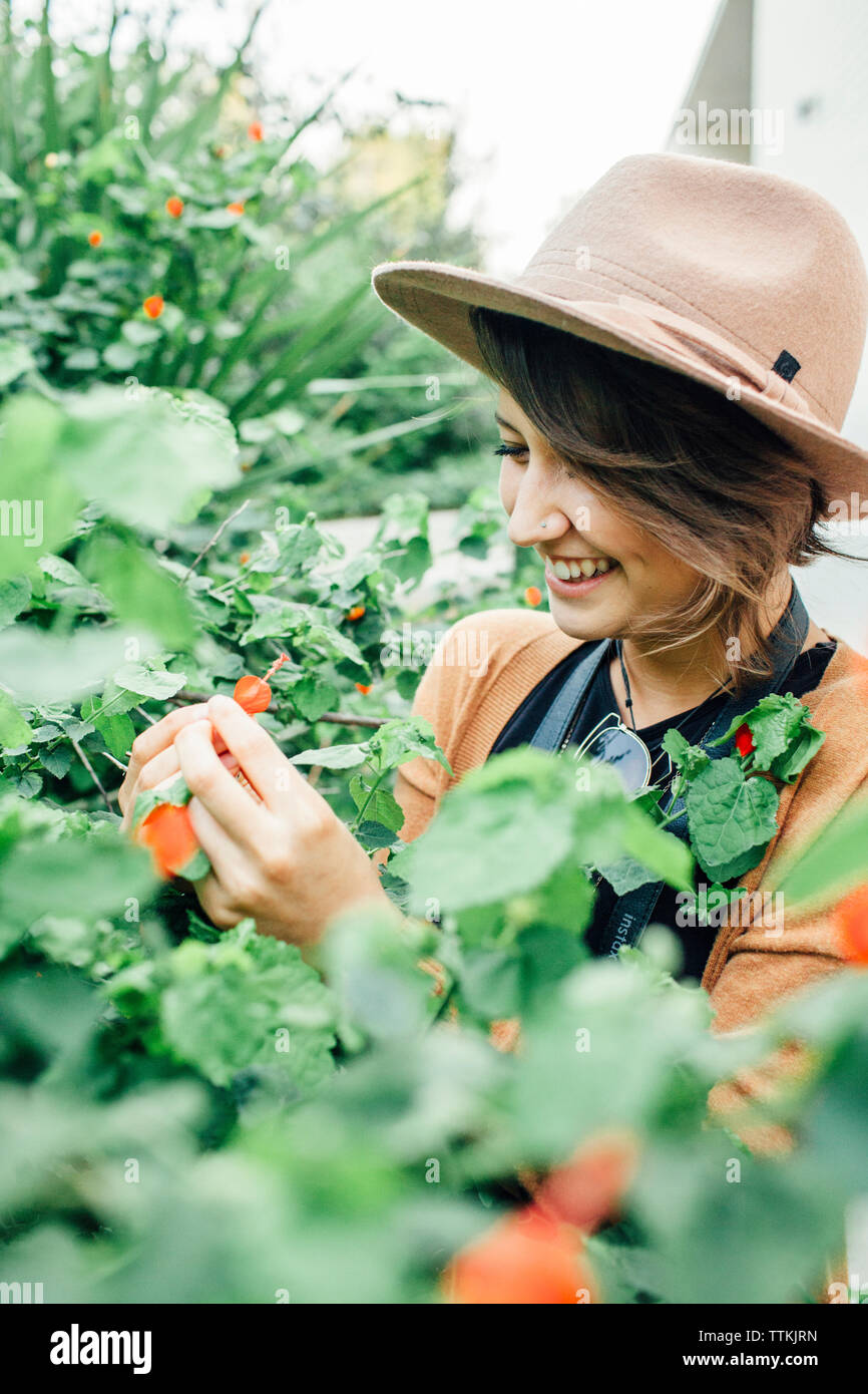 Looking for flowers hires stock photography and images Alamy