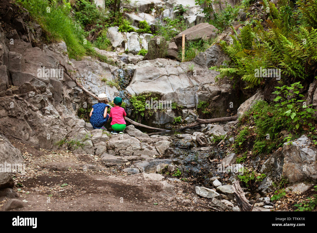 Rear view of siblings crouching on rocks and looking at flowing water Stock Photo
