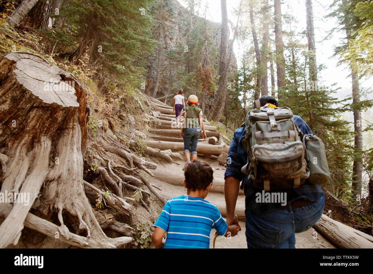 Rear view of family climbing steps amidst trees in forest Stock Photo