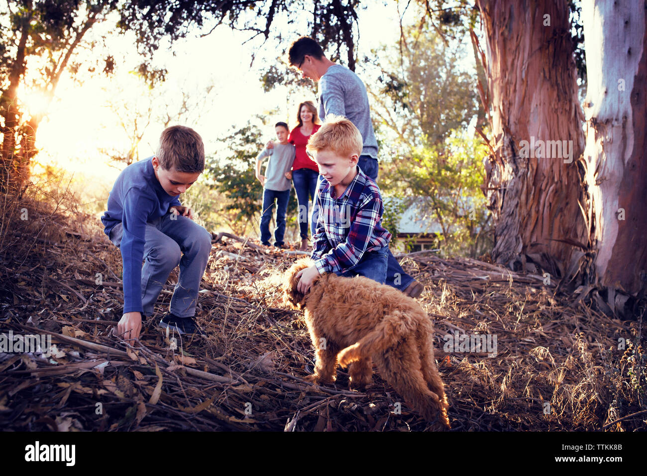 Family enjoying with dog on field amidst trees Stock Photo
