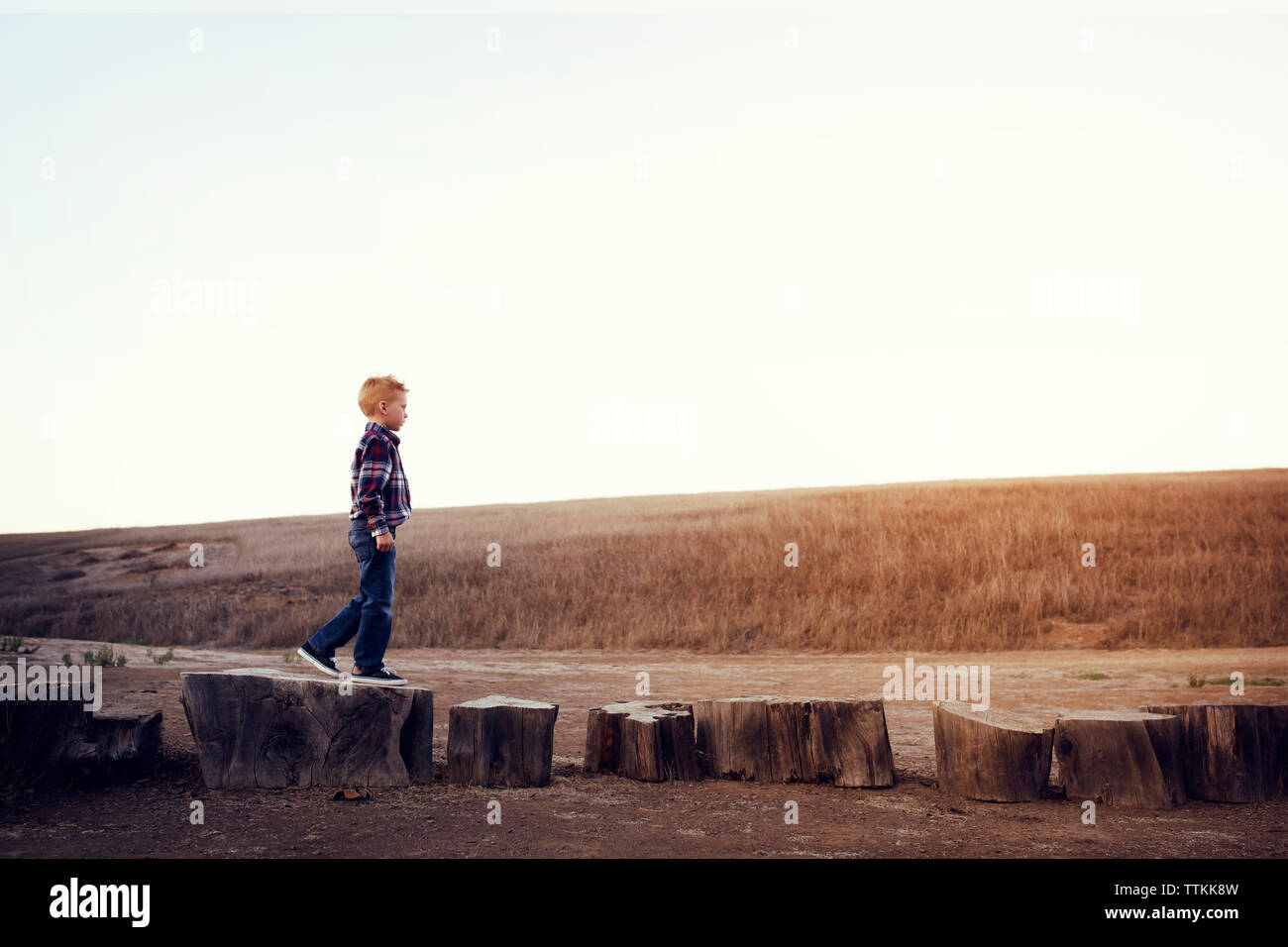 Side view of boy standing on wood at field against clear sky Stock Photo