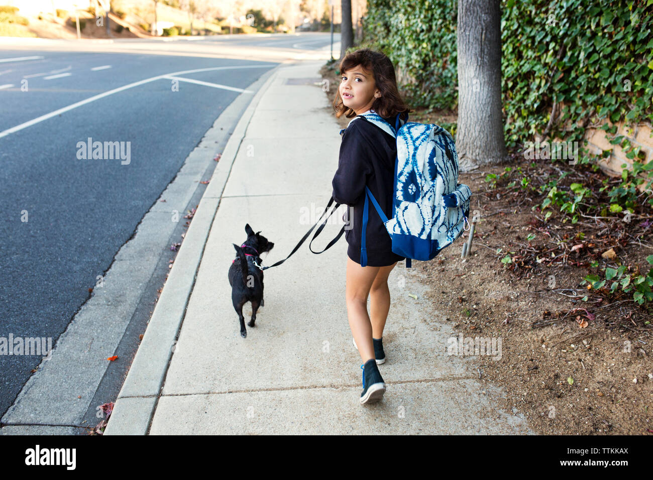 Rear view portrait of girl walking with dog on sidewalk Stock Photo