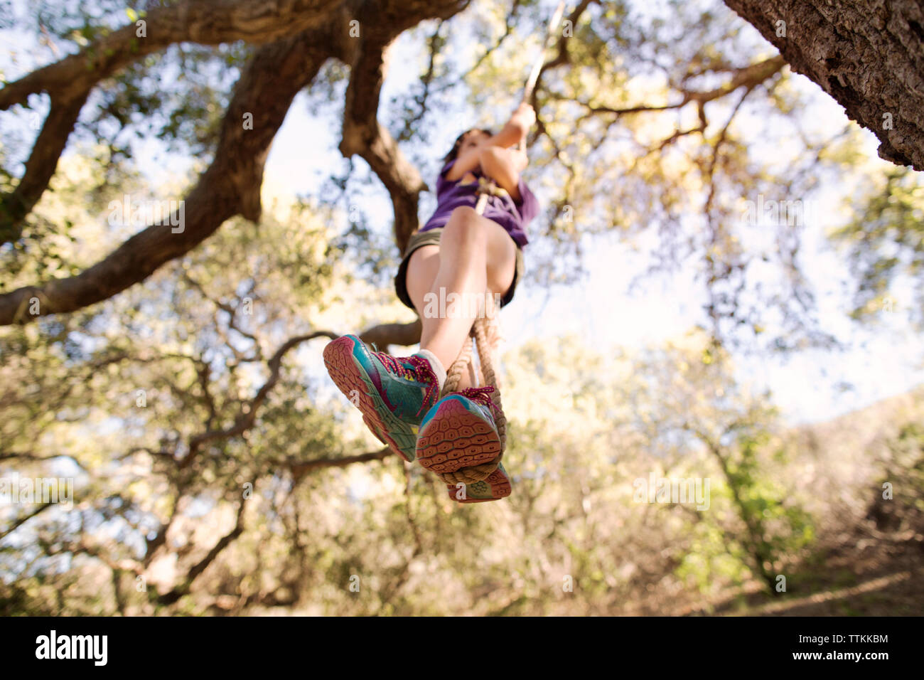 Low angle view of girl playing on rope swing in forest Stock Photo