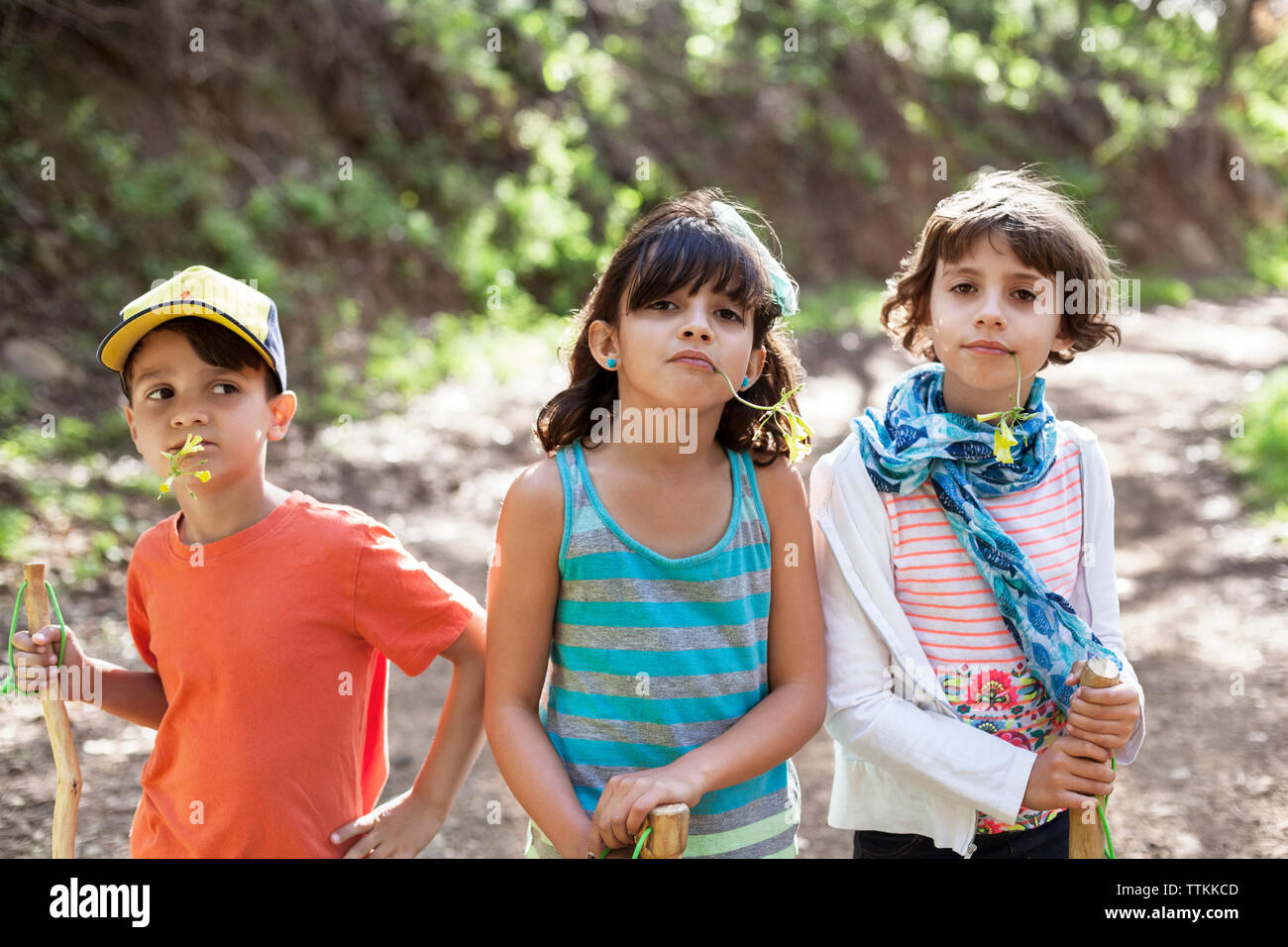 Portrait of confident siblings carrying plants in mouth in forest Stock Photo