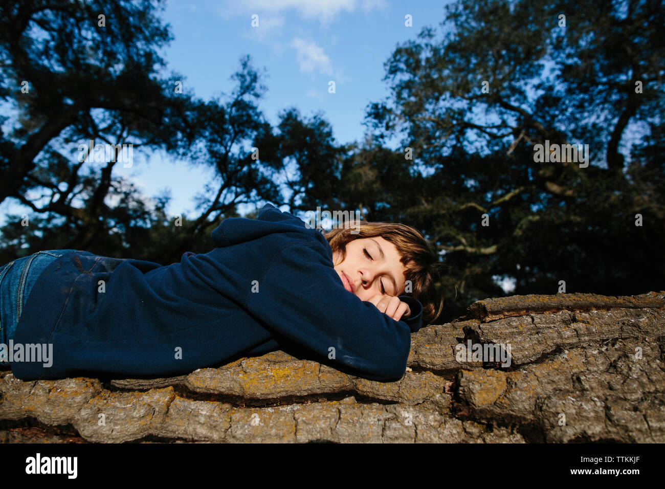 How Does Sleeping Work In The Forest at Melanie Weyand blog