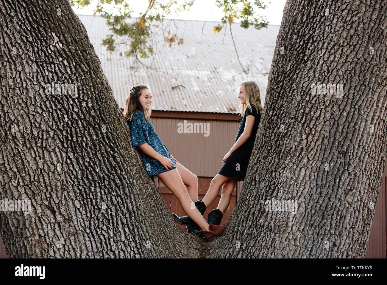 Playful sisters leaning on tree trunk at farm Stock Photo