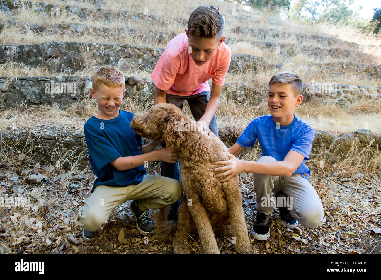 Three brothers pet their dog while one reacts to just being licked Stock Photo
