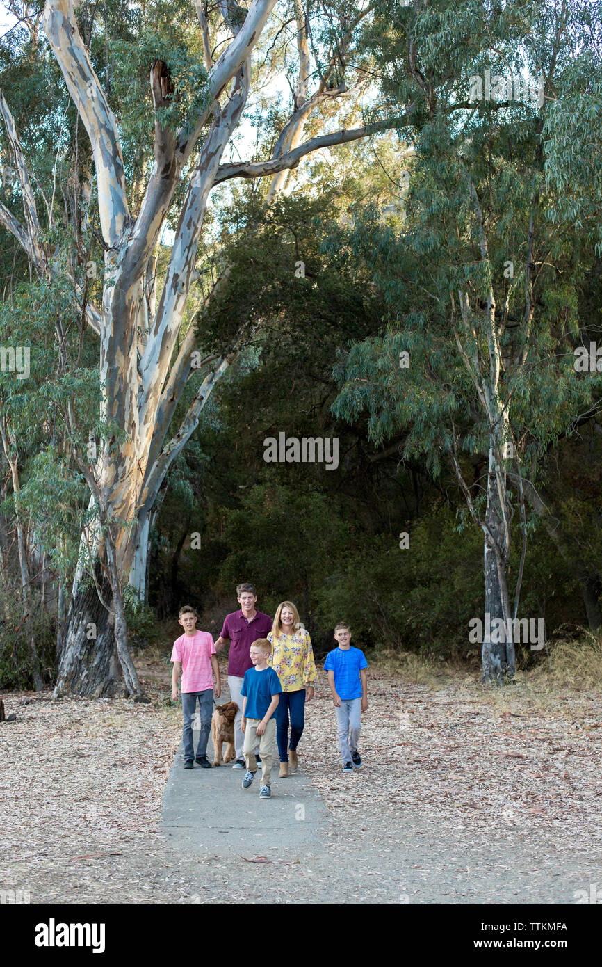 Family of five walking their dog on a path below large Eucalyptus Stock Photo