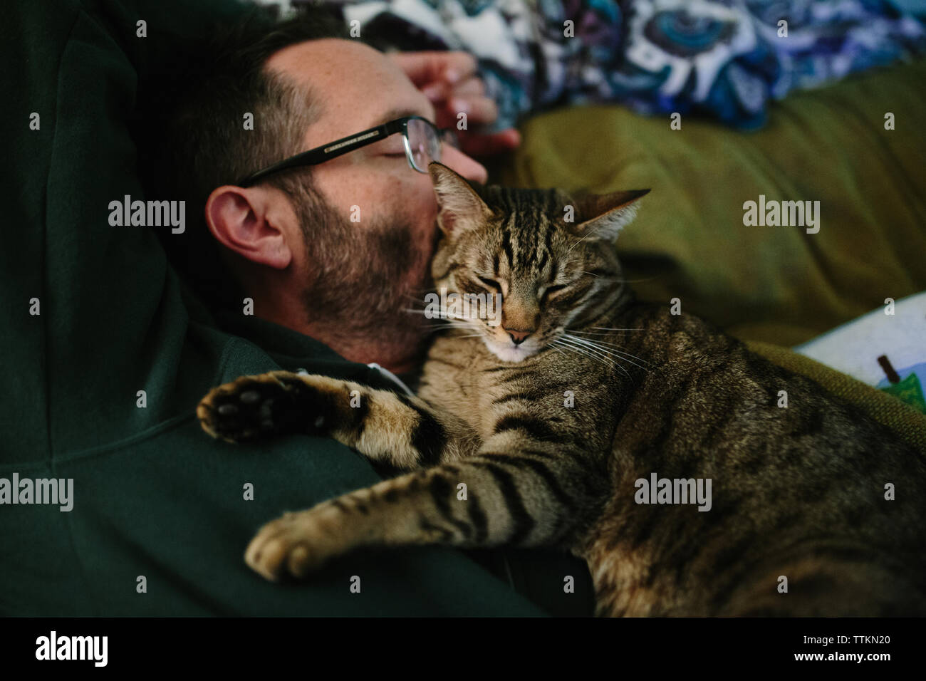Close up of tabby cat asleep up against man's face Stock Photo