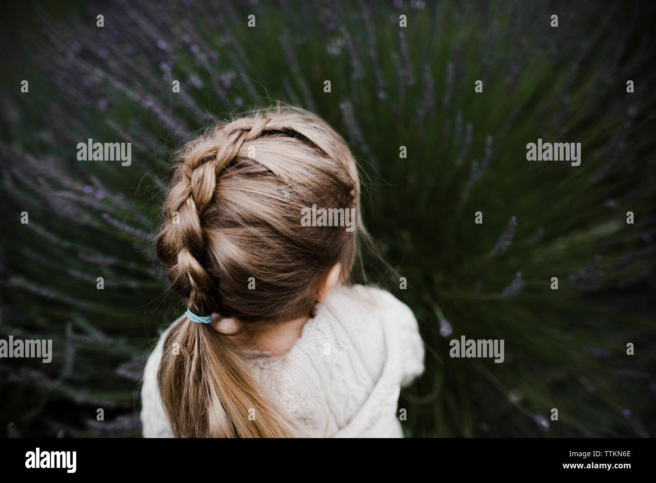 High angle view of girl with hairstyle playing amidst lavender field Stock Photo