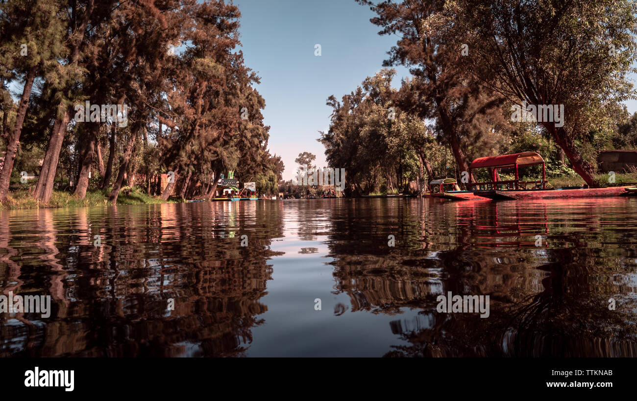 One of the many canals Xochimilco has. Stock Photo