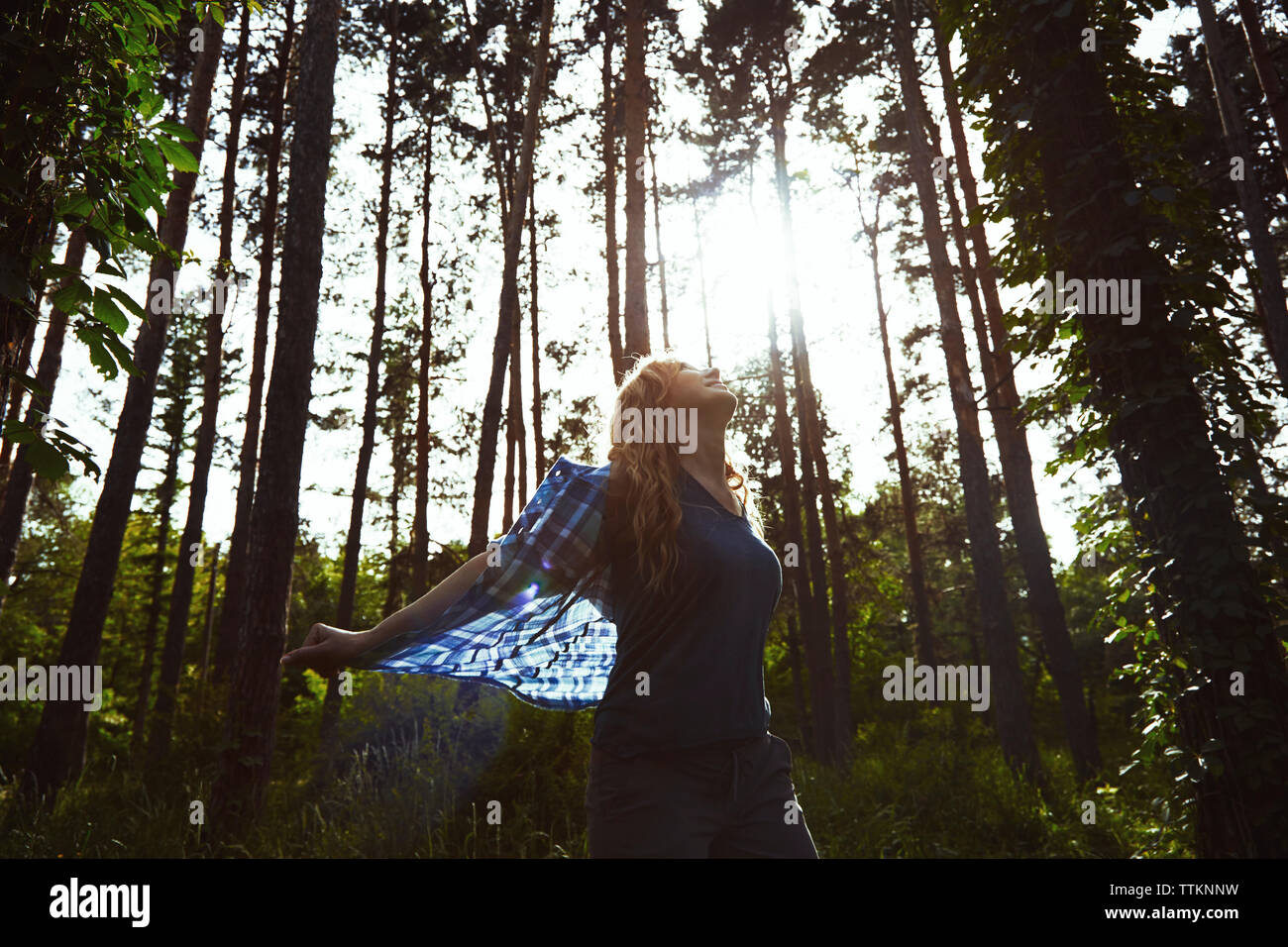 Woman forest sunlight trees hi-res stock photography and images - Alamy
