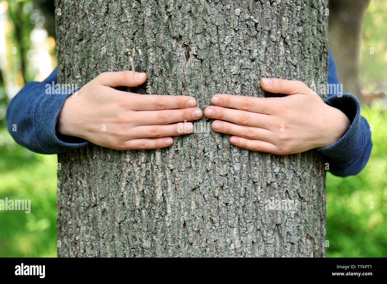 Female hands hugging tree Stock Photo - Alamy