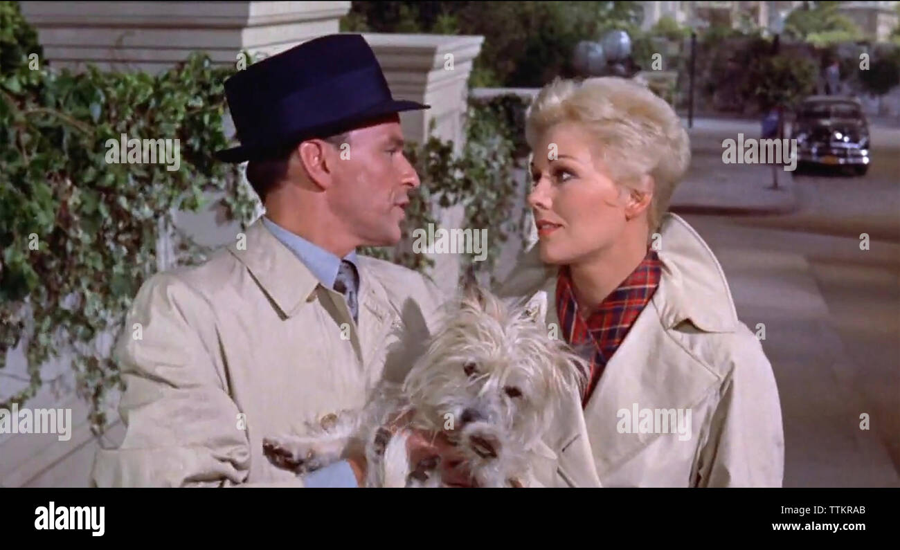 приятель джои фильм 1957 актёры. приятель ж. приятель ж. рита хейворт приятель джои. ким новак приятель джои.