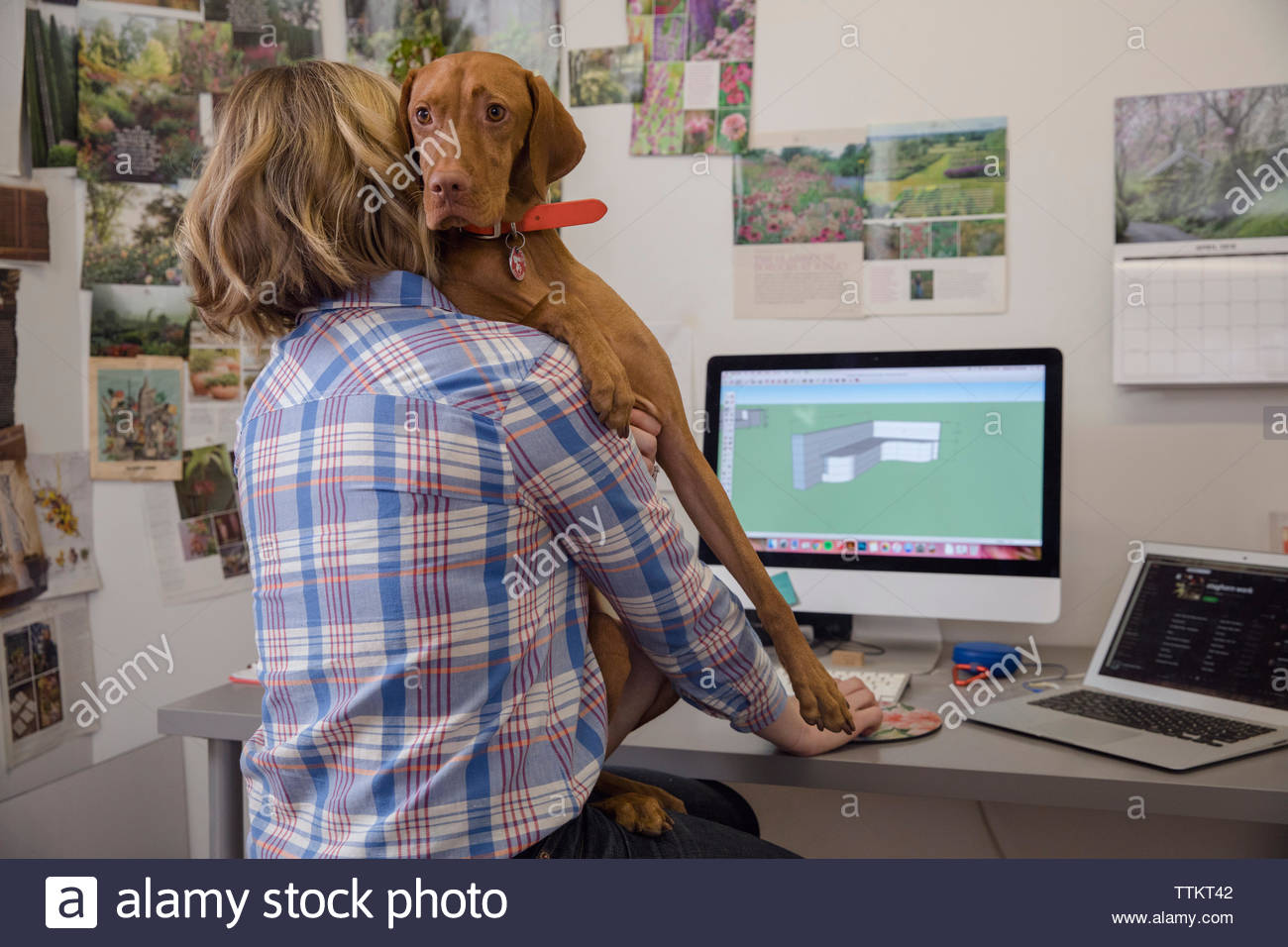 Rear View Of Female Entrepreneur With Dog Using Computer While