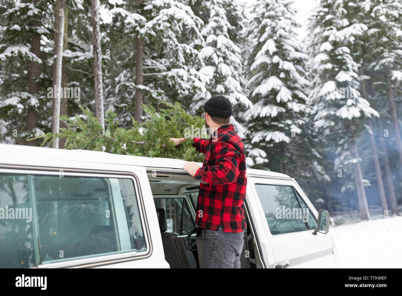 Man putting Christmas tree on top of his van Stock Photo Alamy