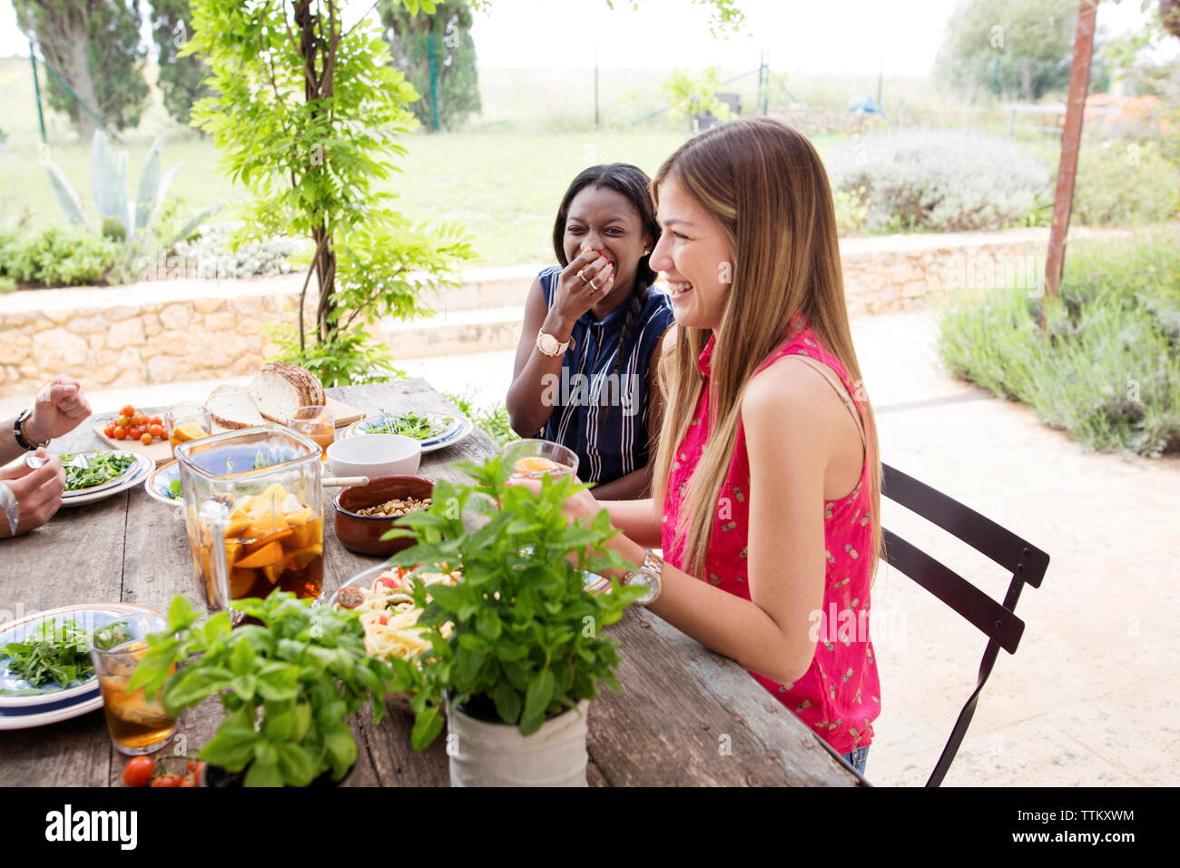 Happy women talking to male friends while having lunch at yard Stock Photo