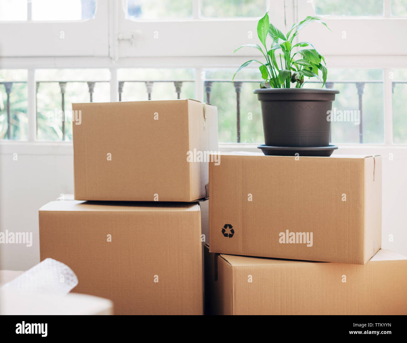 Cardboard plant hires stock photography and images Alamy