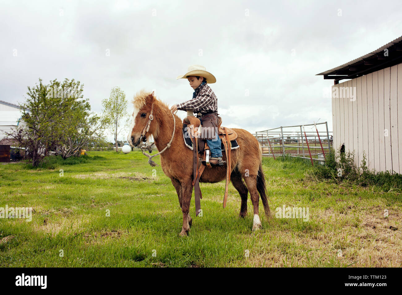 Cute cowboy riding horse on ranch Stock Photo - Alamy