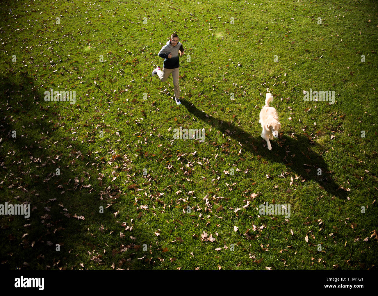 High angle view of teenage boy and Golden Retriever running on grassy field in park during autumn Stock Photo