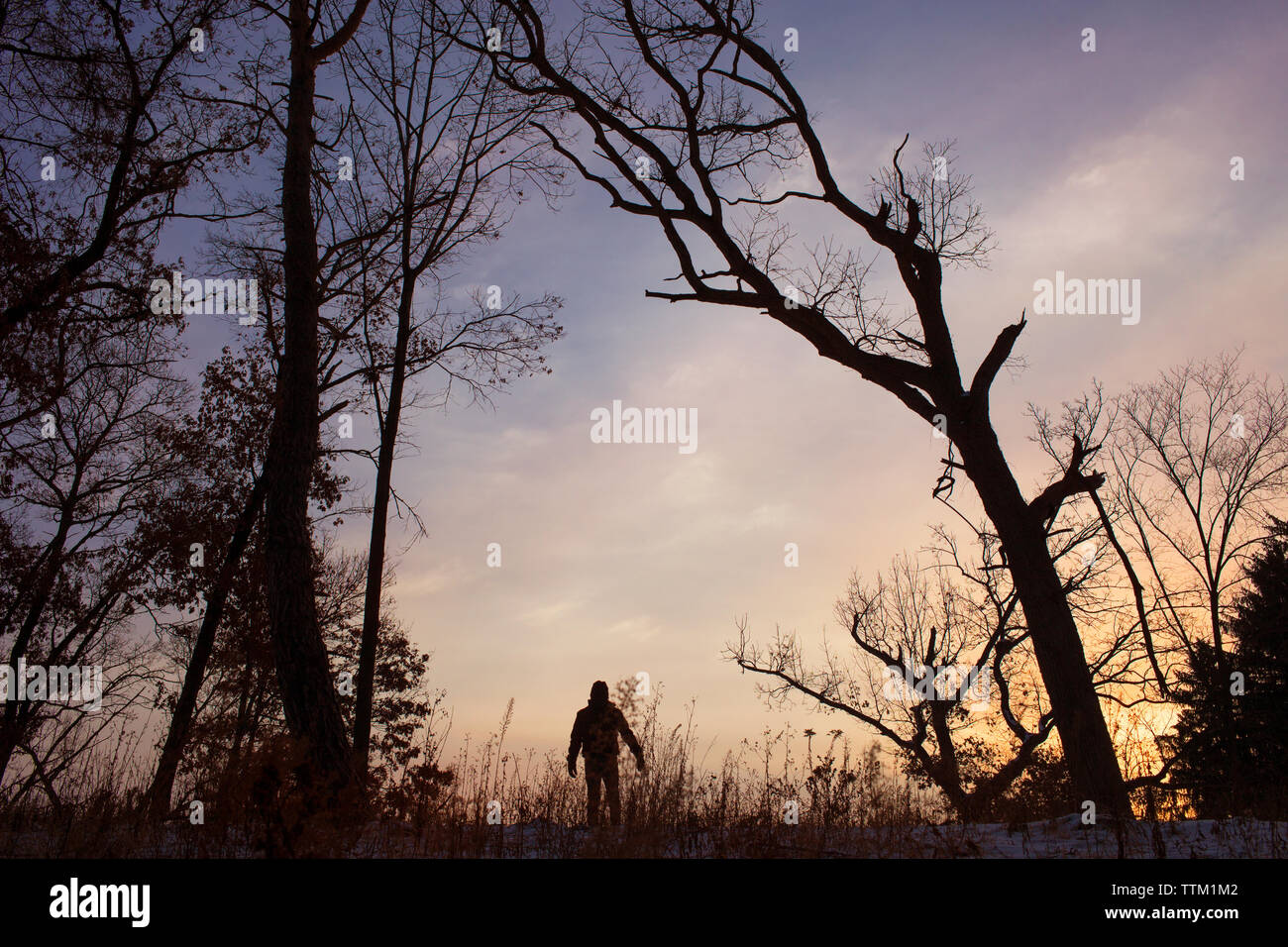 Man trees silhouette hi-res stock photography and images - Alamy