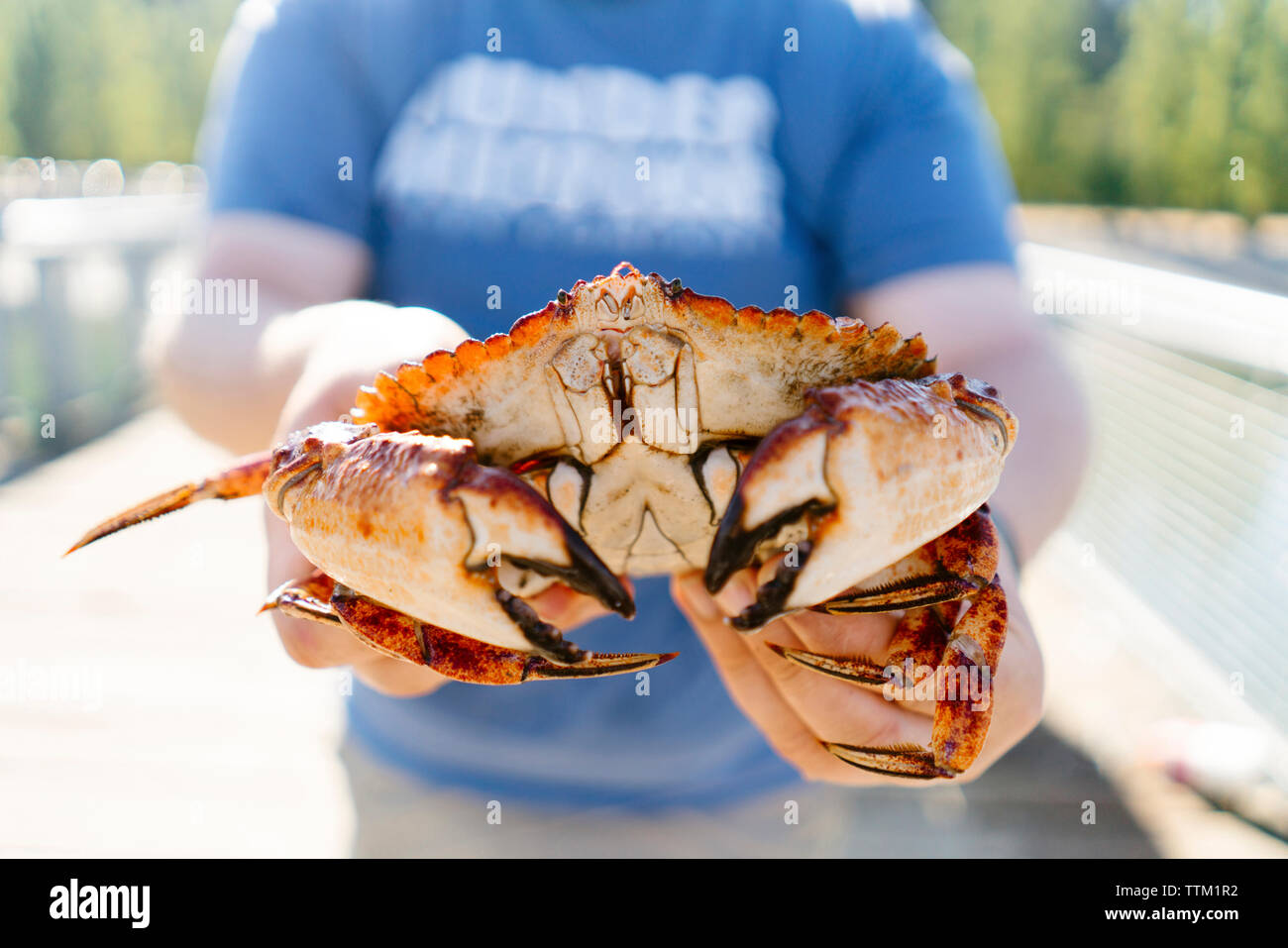 Midsection of man holding crab while standing at Kayak Point County Park Stock Photo