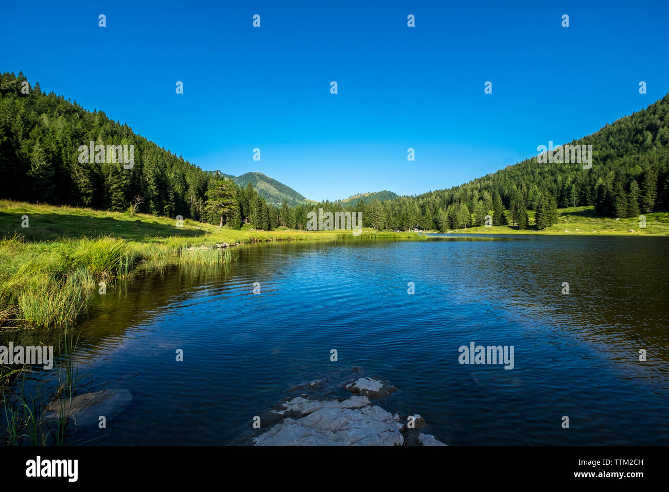 Clear lake water plants hi-res stock photography and images - Alamy