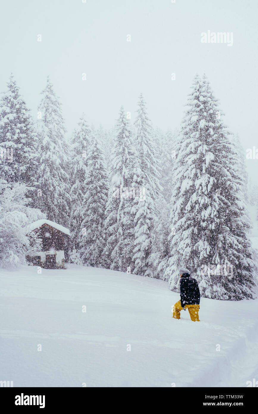 Woman walking snow rear view hi-res stock photography and images - Alamy