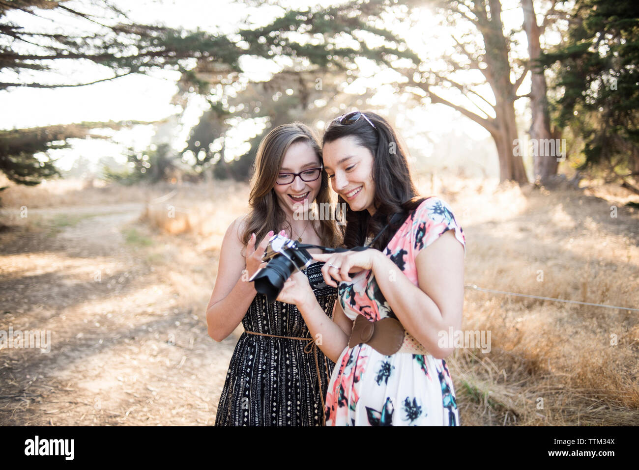 Happy sisters looking photographs in camera while standing against trees at forest Stock Photo