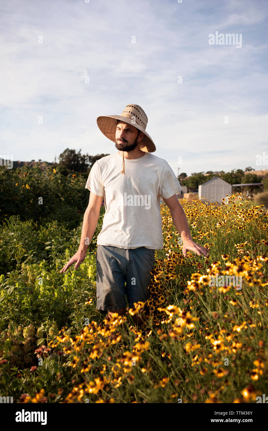 Farmer field sky casual clothing hi-res stock photography and images ...