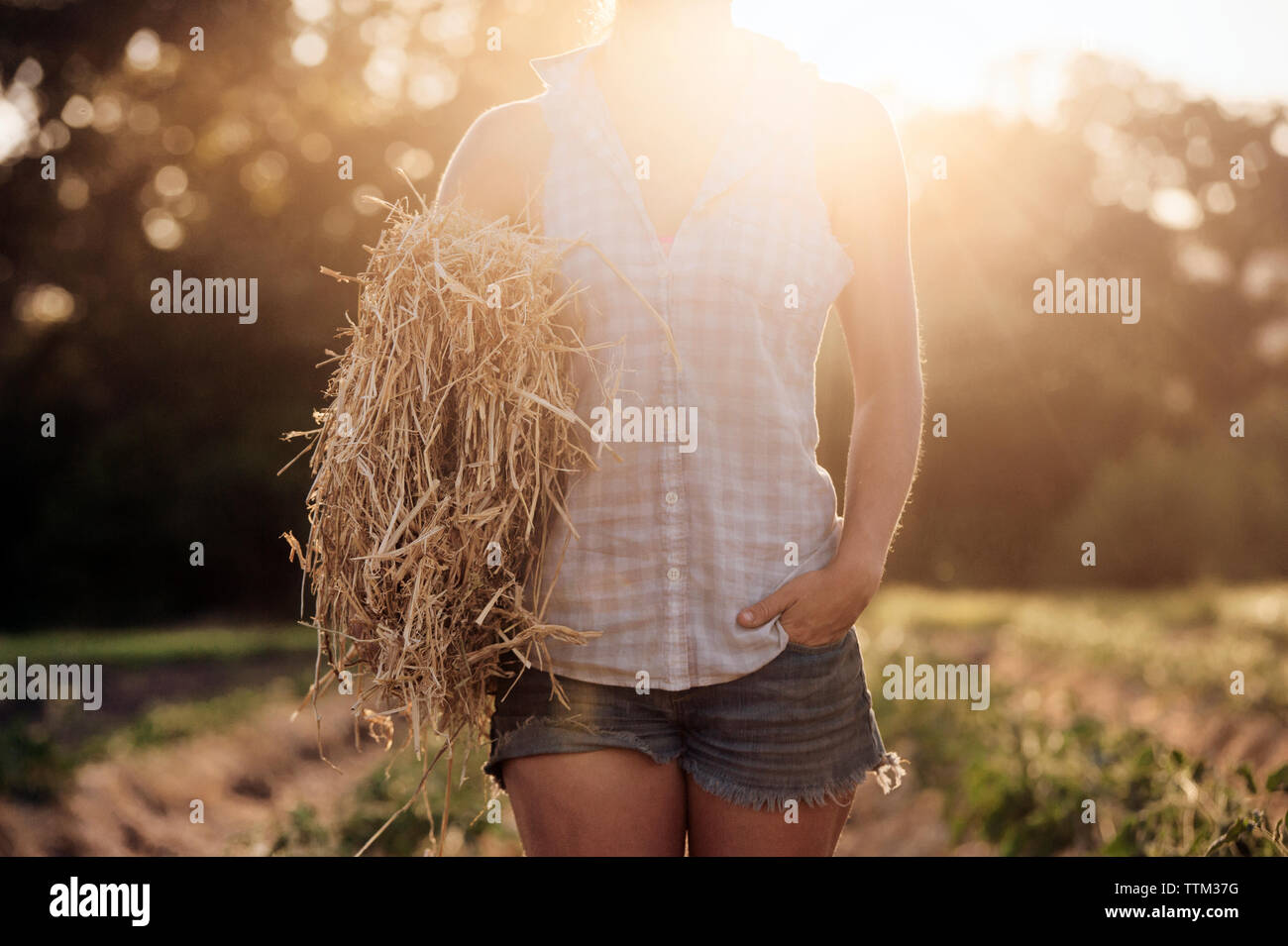 Midsection of female farmer holding hay bale on field Stock Photo