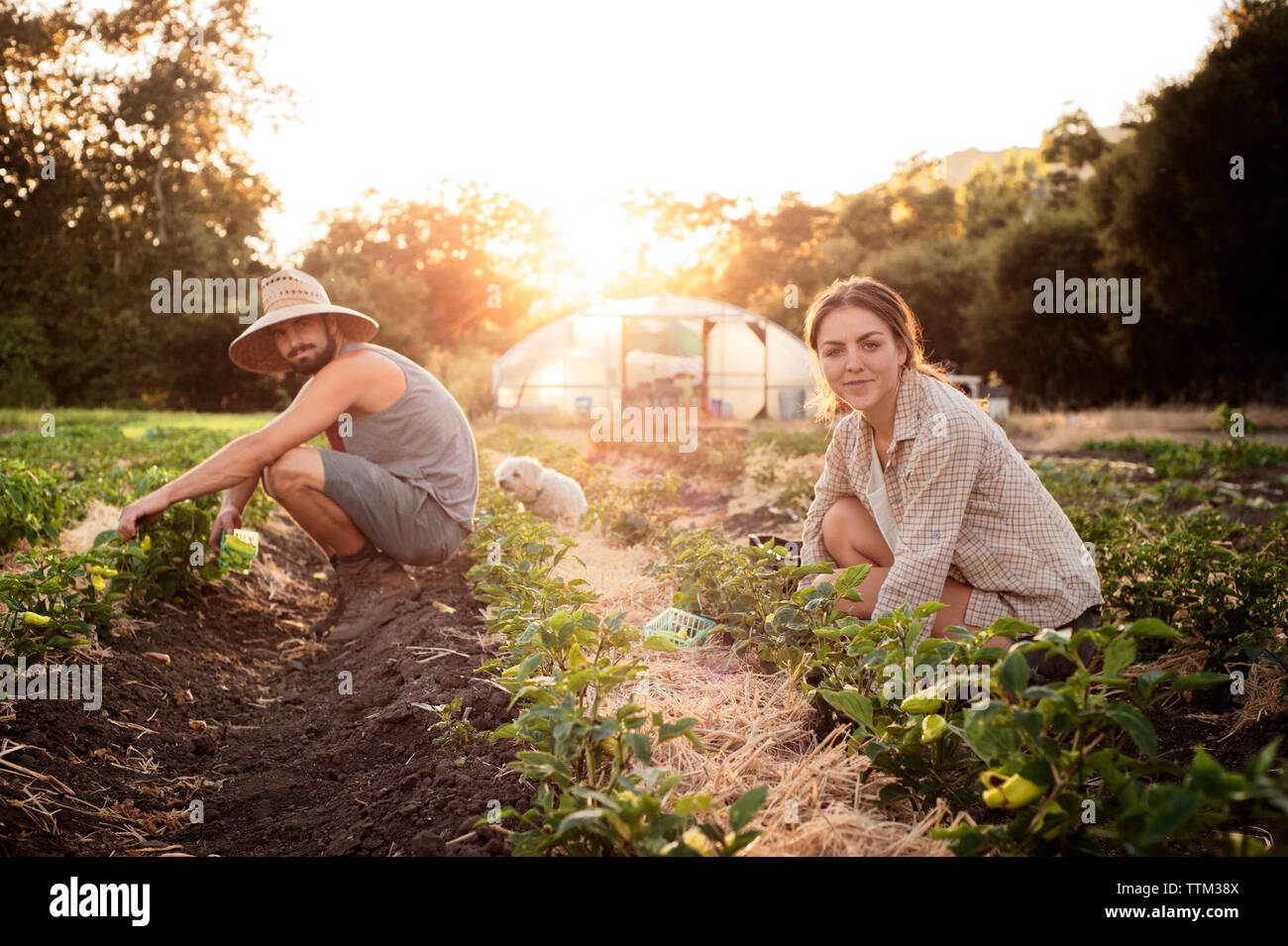 Portrait of male and female farmers working on field Stock Photo