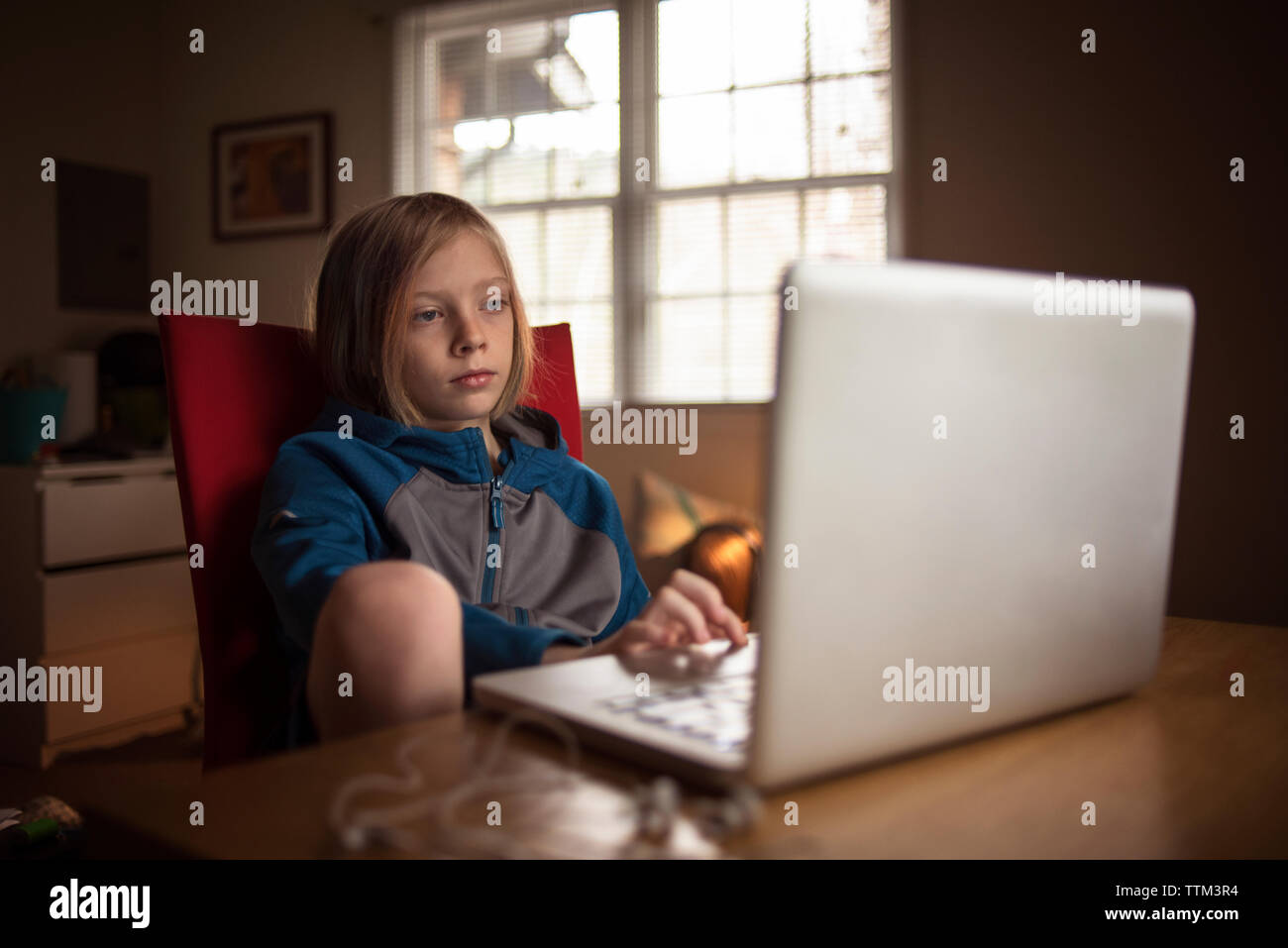 Boy using laptop while sitting at table Stock Photo