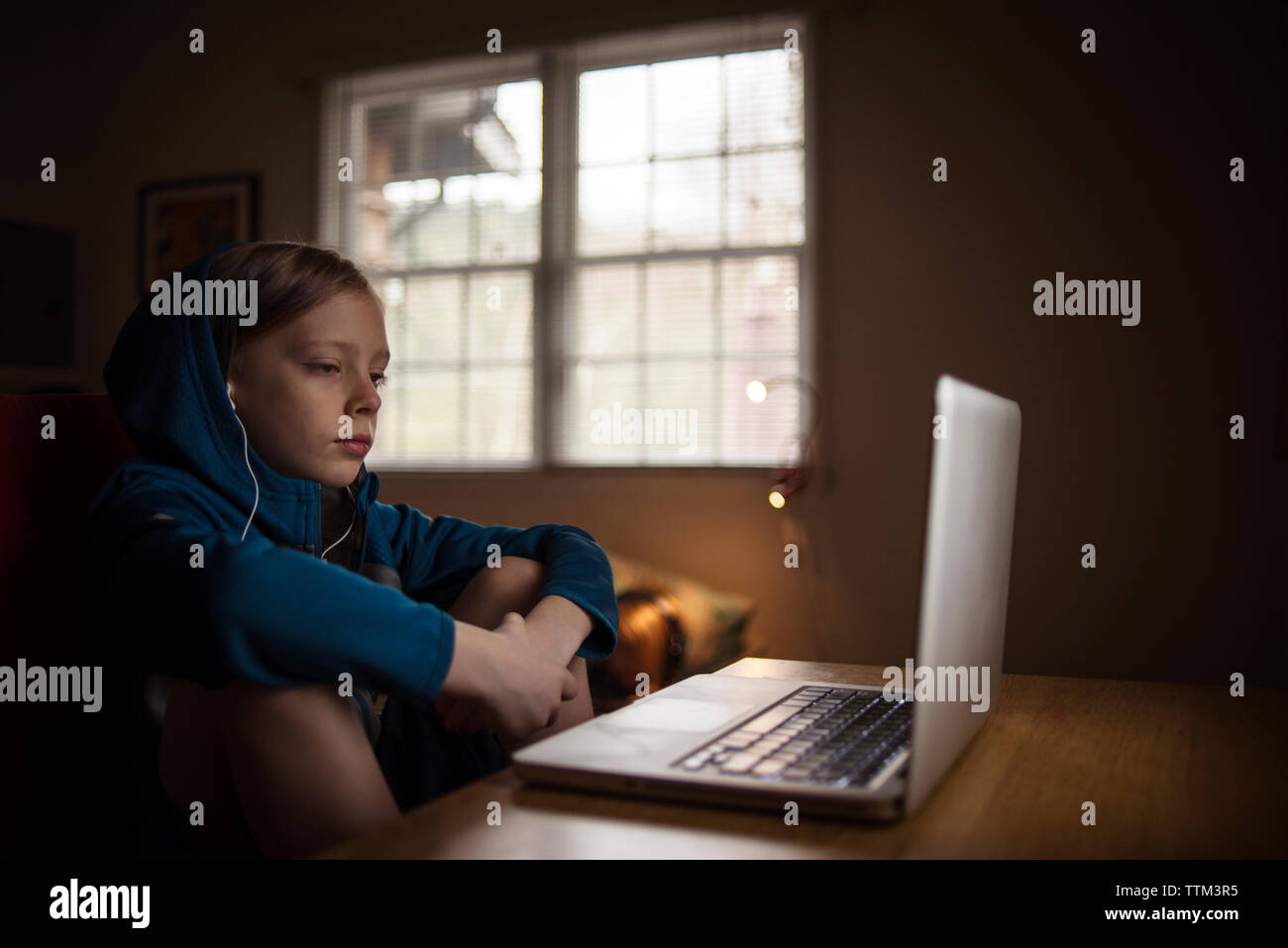 Boy using laptop computer on table while sitting at home Stock Photo