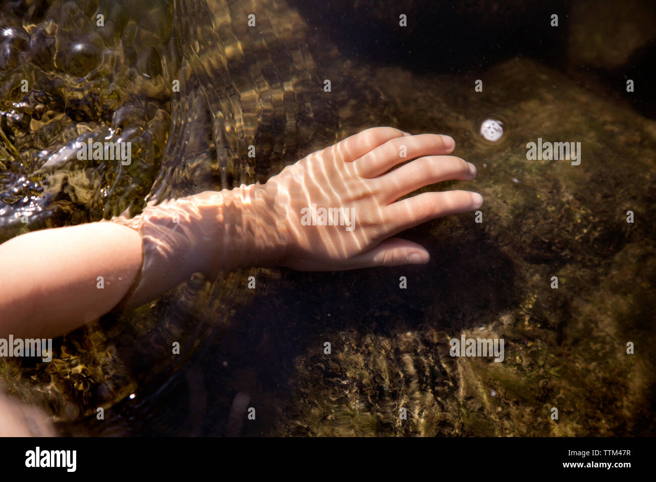 High angle view of human hand in water at river Stock Photo