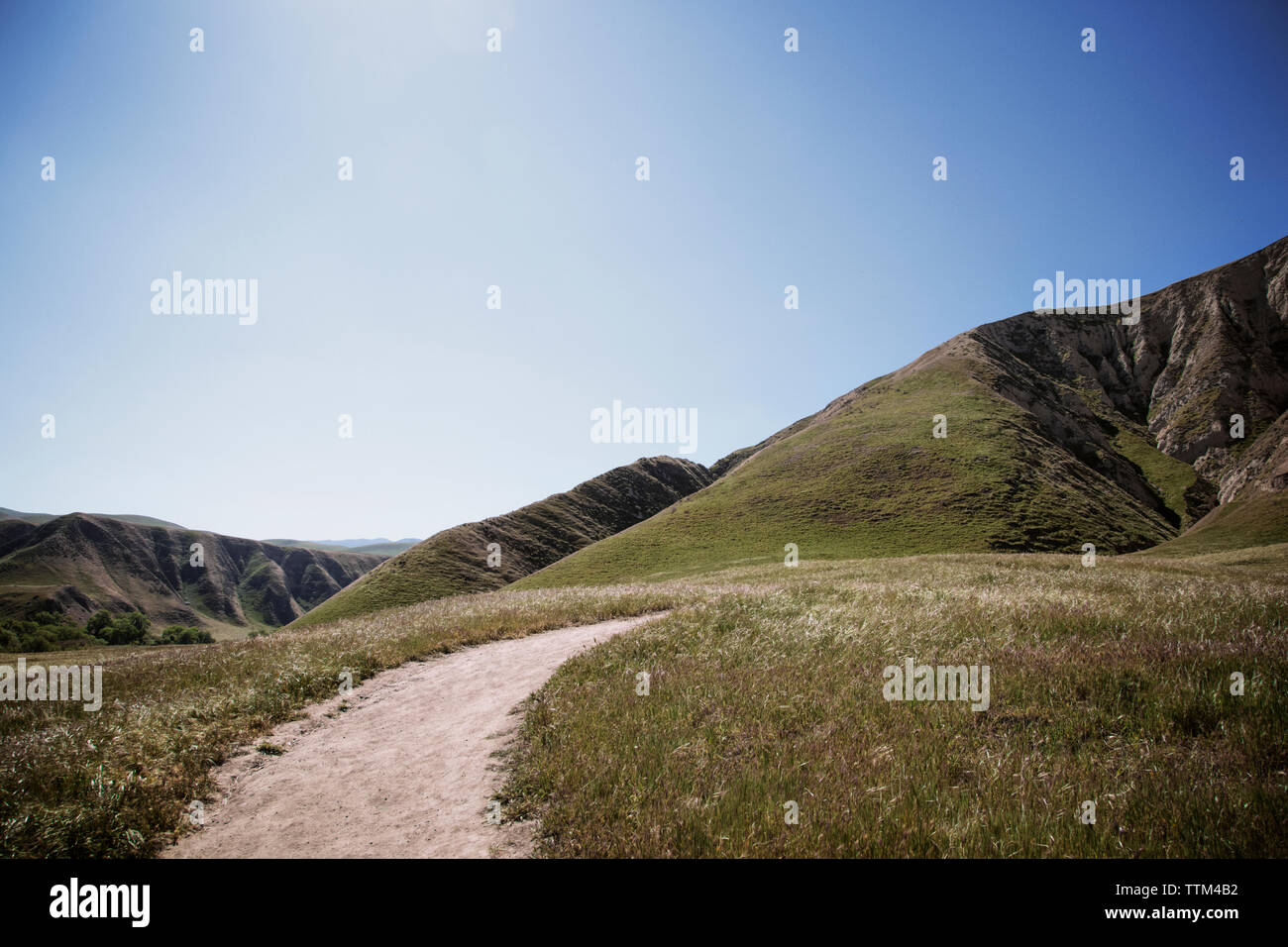 Clear blue sky green grass hi-res stock photography and images - Alamy