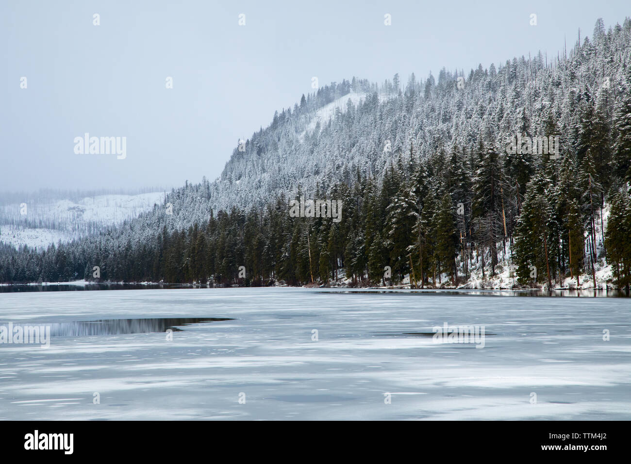 snow covered forest mountain top and lake covered in ice Stock Photo