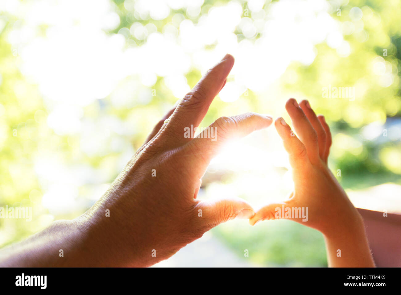 Father and child making touching hands against sunlight Stock Photo